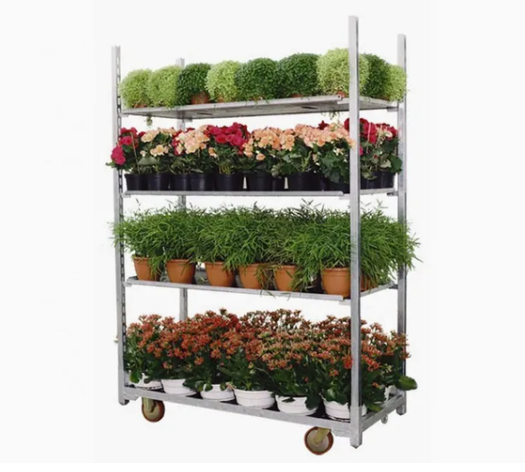 What is Galvanized Plant mushroom flower Mobile Shelf Transport trolley Cart rack